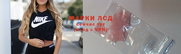 крисы Богородицк